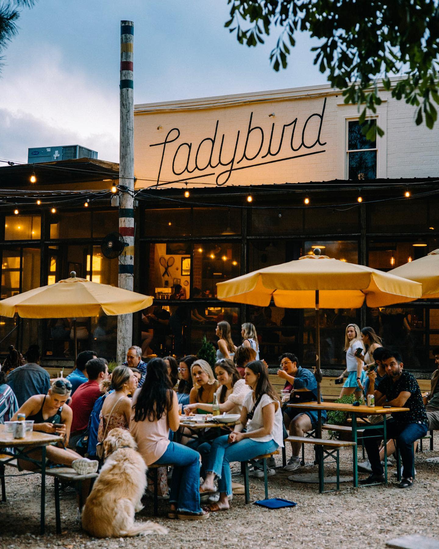 Ladybird Grove & Mess Hall