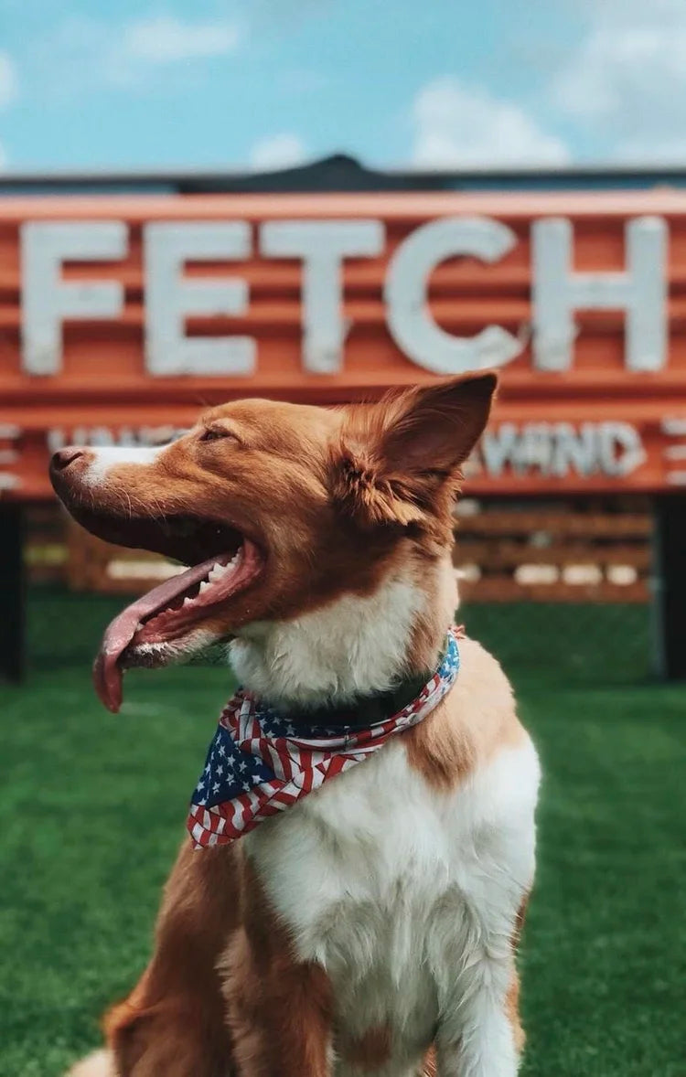 Fetch Park
